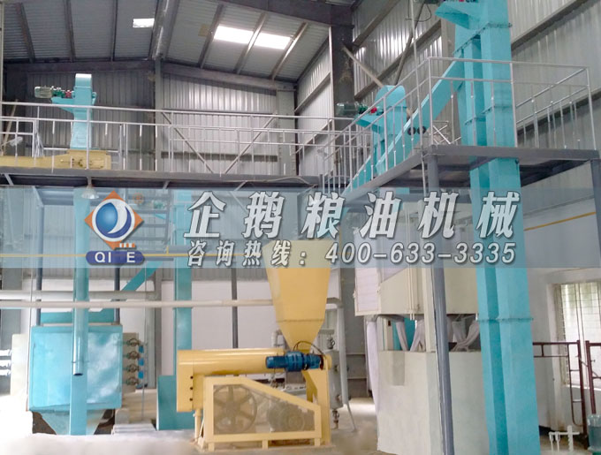 如何投資建設棕櫚油加工廠？企鵝糧油機械在線為您答疑解惑(圖4)