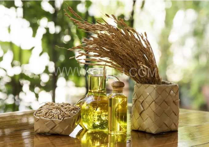 米糠油精煉設(shè)備，企鵝機(jī)械不斷創(chuàng)新提升工藝效果(圖1)