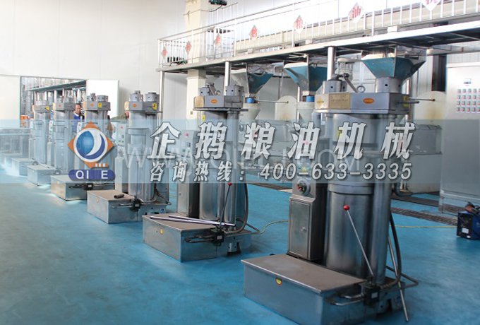 芝麻油提取加工，企鵝糧油機(jī)械生產(chǎn)色香味俱佳的油脂(圖3)