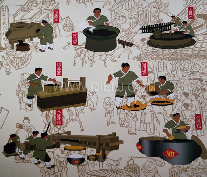 芝麻油提取加工，企鵝糧油機(jī)械生產(chǎn)色香味俱佳的油脂(圖2)